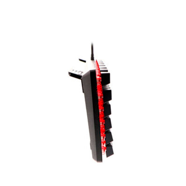 Teclado Primus Ballista 100T - Imagen 3